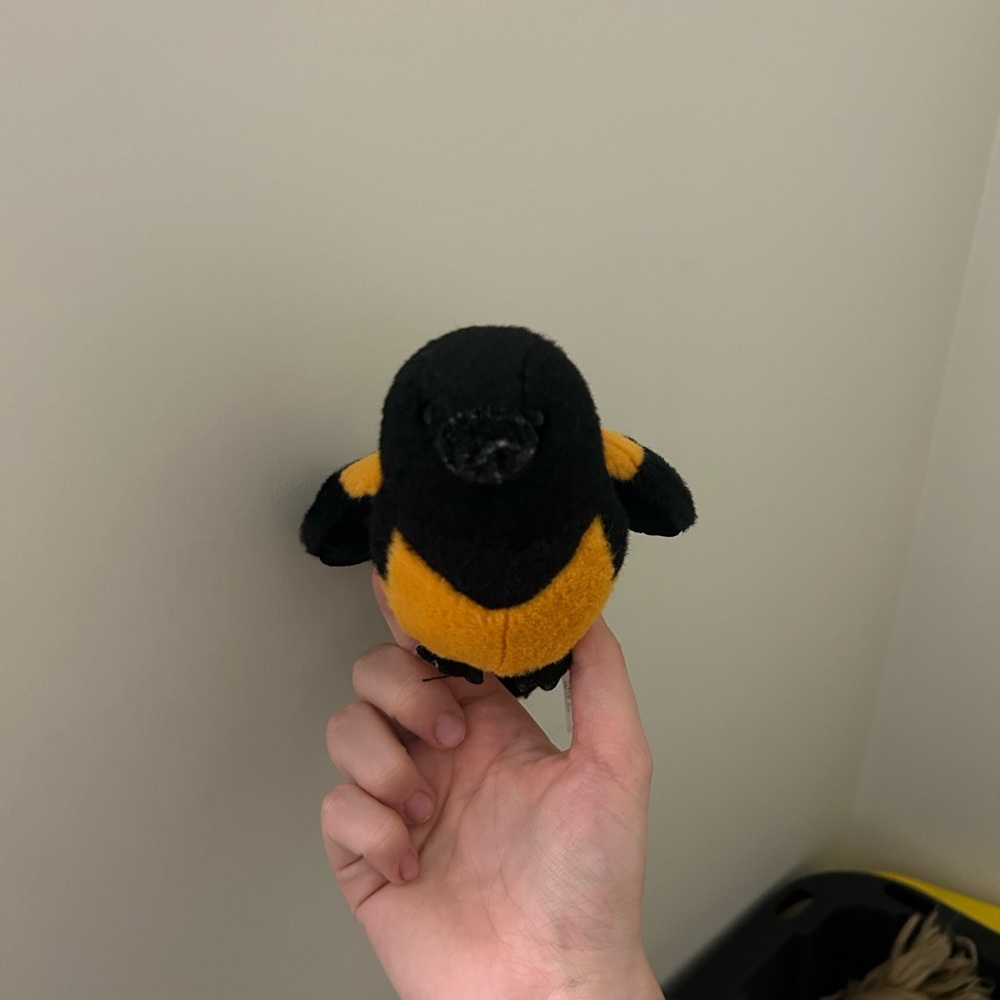 Webkinz Oriole